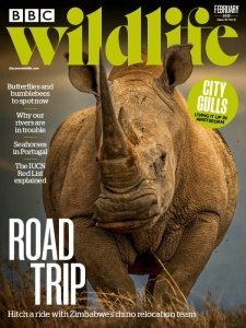 BBC Wildlife - 02.2023