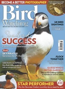 Bird Watching UK - 06.2021