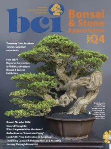 BCI Bonsai & Stone Appreciation - 10/12 2024