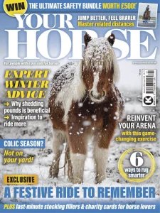 Your Horse - 01.2025