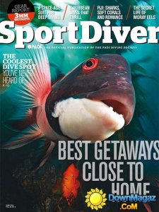 Sport Diver - June 2014