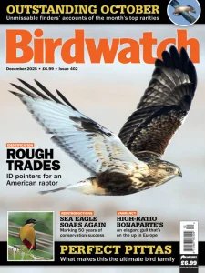 Birdwatch UK - 12.2025