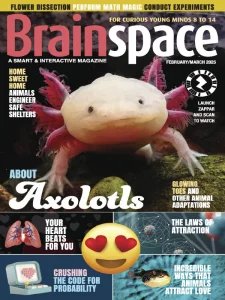 Brainspace - 02/03 2025