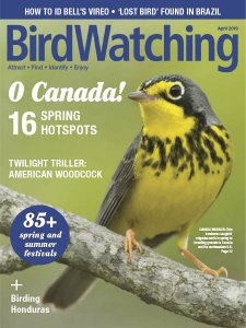 BirdWatching - 03/04 2019