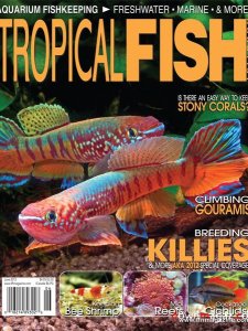 Tropical Fish Hobbyist - June 2012