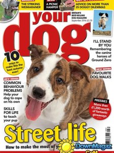 Your Dog - September 2016