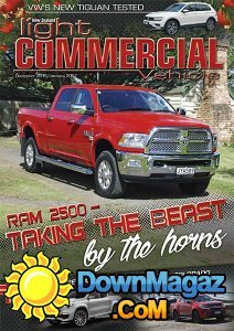 NZ Light Commercial Vehicle - 12.2016 - 01.2017