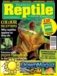 Practical Reptile Keeping - 02.2017