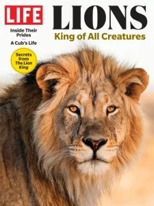 LIFE - Lions King Of All Creatures 2024