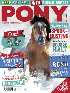 Pony - 01.2018