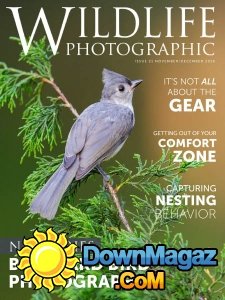 Wildlife Photographic - 11/12 2016