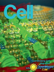 Cell - 22 May 2014