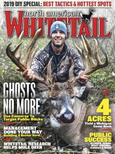 North American Whitetail - 08.2019