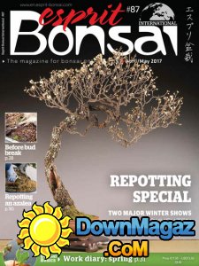 Esprit Bonsai International - 04/05 2017