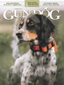 Gun Dog - Summer 2023