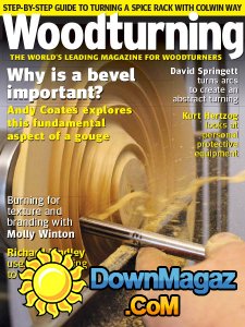 Woodturning - 04.2017