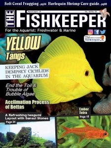 The Fishkeeper - 03/04 2019