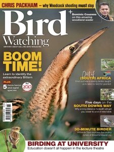 Bird Watching UK - 11.2022