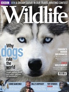 BBC Wildlife - 01.2011