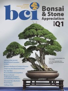 Bonsai & Stone Appreciation - 01/03 2024