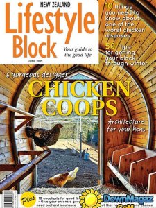 NZ Lifestyle Block - June 2015