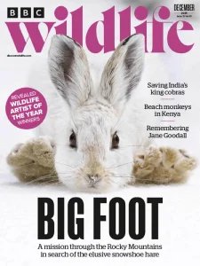 BBC Wildlife - 12.2025