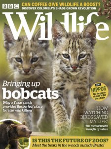 BBC Wildlife - 10.2019