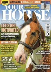 Your Horse - 11.2025