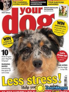 Your Dog - April 2015