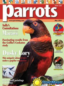 Parrots - May 2016