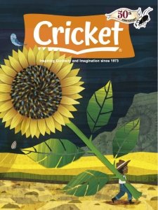 Cricket - 05/06 2023