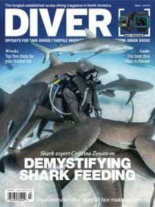 DIVER - Fall 2020