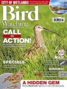 Bird Watching UK - 06.2023