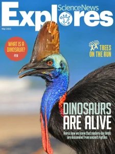 Science News Explores - 05.2025