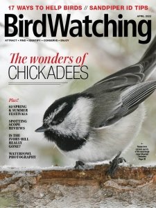 BirdWatching USA - 03/04 2022