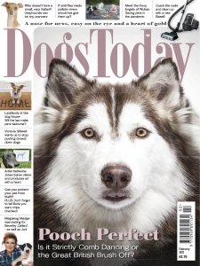 Dogs Today UK - 02.2021