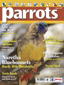 Parrots - 08.2018