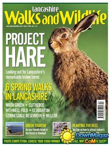 Lancashire Walks and Wildlife - April 2014