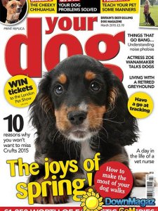 Your Dog - March 2015