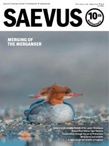 Saevus - 06/08 2022