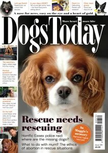 Dogs Today UK - Is. 370 2025