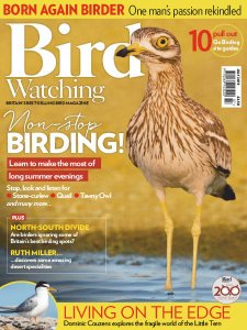 Bird Watching UK - 07.2019