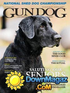 Gun Dog - 12.2016 - 02.2017