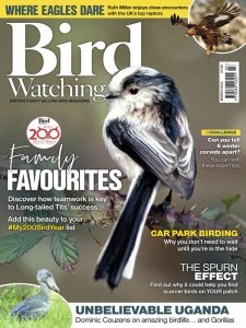 Bird Watching UK - 03.2022