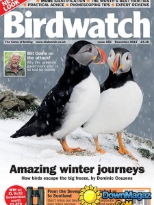 BirdWatch - December 2013