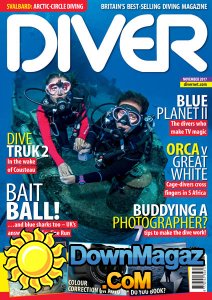 Diver UK - 11.2017