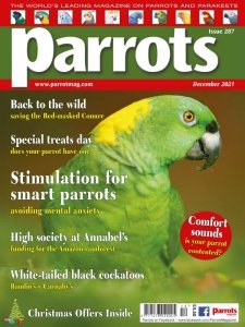 Parrots - 12.2021