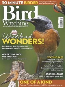 Bird Watching UK - 05.2021