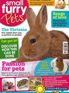 Small Furry Pets UK - October/November 2015