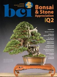 BCI Bonsai & Stone Appreciation - 04/06 2024